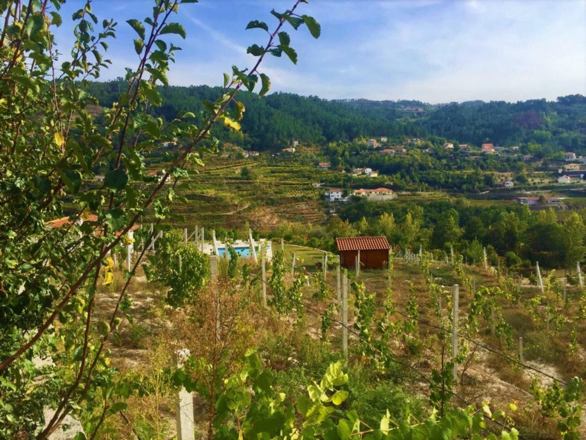 아마란테 Quinta Do Peso 빌라 외부 사진